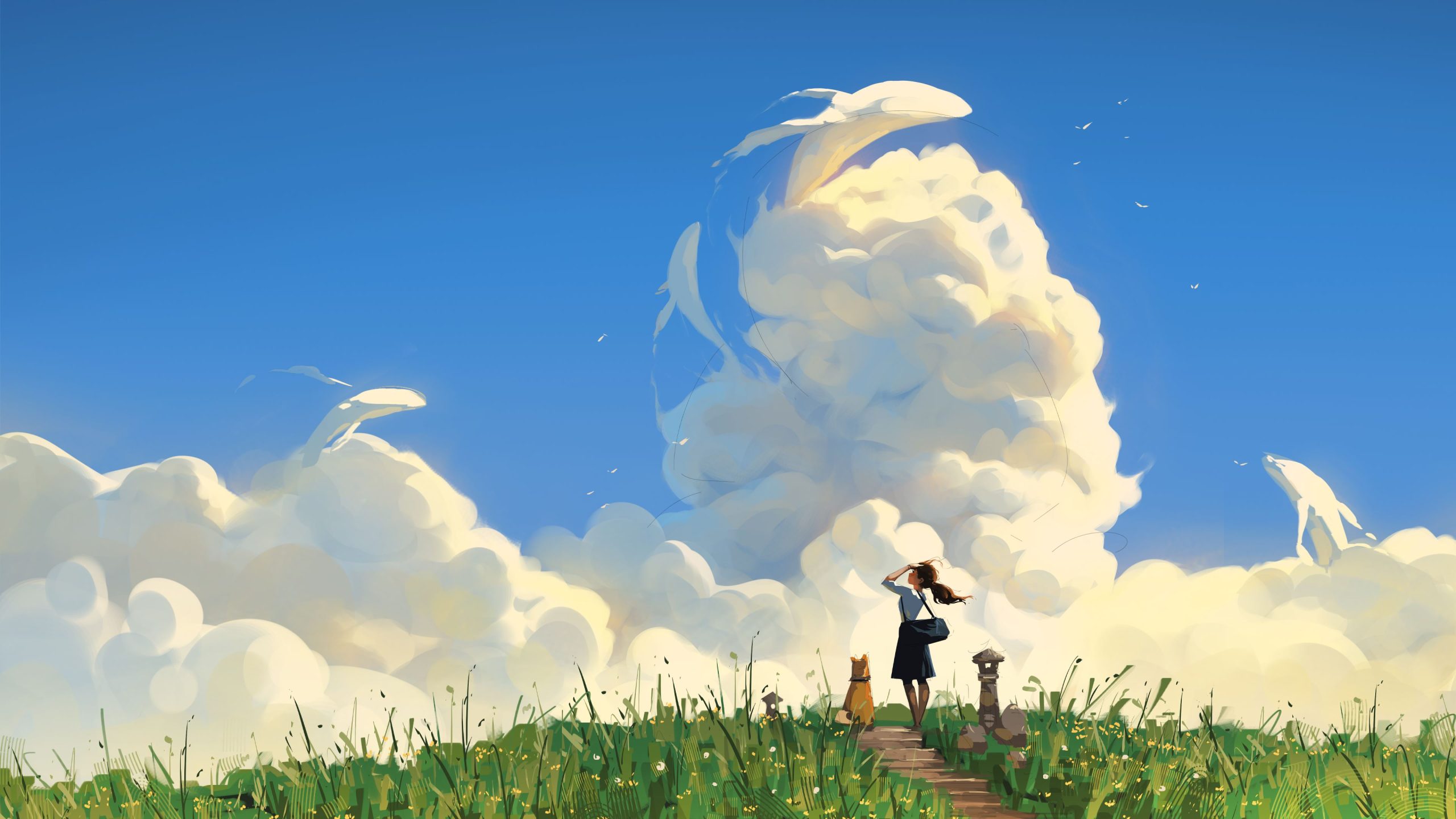 安小熙创业平台
