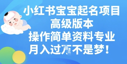小红书宝宝起名项目高级版本，操作简单，资料专业，月入过W-安小熙网创平台