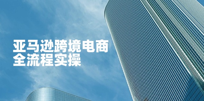 (14252期)亚马逊跨境电商全流程实操,教你从零开始,掌握店铺运营与广告技巧-安小熙网创平台