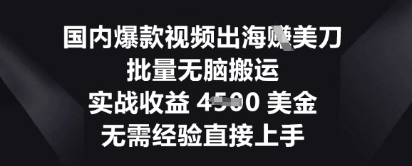 国内爆款视频出海挣美刀,批量无脑搬运,实战收益4.5k,无需经验直接上手-安小熙网创平台