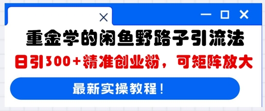 重金学的闲鱼野路子引流法,日引300+精准创业粉,可矩阵放大-安小熙网创平台