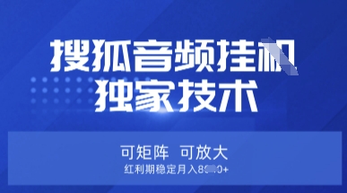 【搜狐音频挂G】独家技术，可矩阵可放大，红利期稳定月入8k【揭秘】-安小熙网创平台