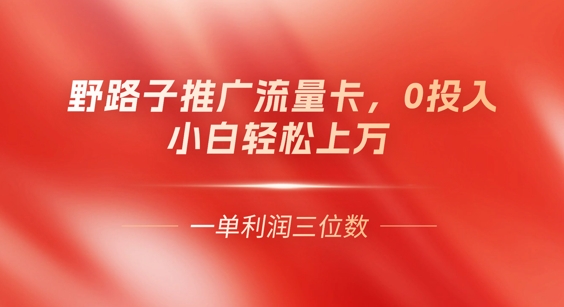0门槛推广流量卡,一单收益上百,0投入,小白月入过W-安小熙网创平台