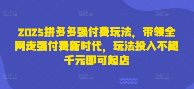 2025拼多多强付费玩法,带领全网走强付费新时代,玩法投入不超千元即可起店-安小熙网创平台
