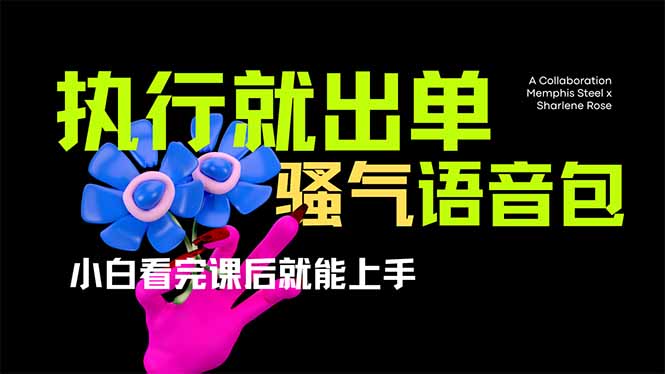 (14170期)爆火全网的开车导航骚气语音包,只要执行就出单,小白看完课程就能实操...-安小熙网创平台