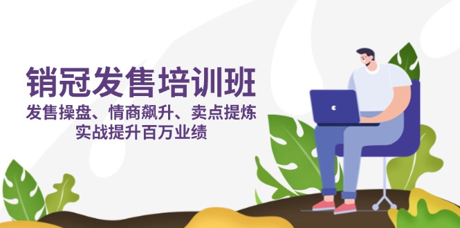 （14203期）销冠 发售培训班：发售 操盘+情商 飙升+卖点 提炼，实战提升百万业绩-安小熙网创平台