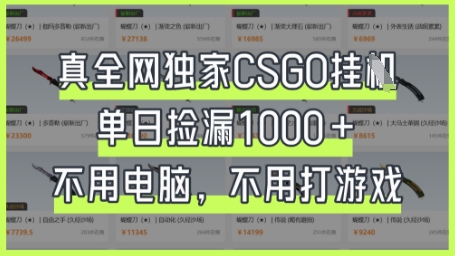 真全网独家CSGO挂G,单日捡漏1k+【揭秘】-安小熙网创平台