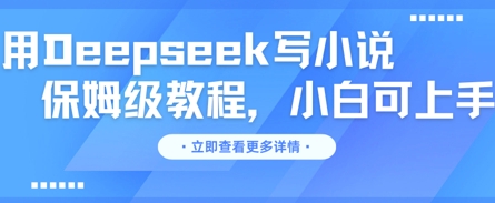 用Deepseek写小说，保姆级教程，小白可实操-安小熙网创平台