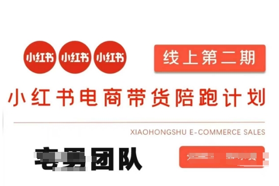 小红书电商带货课2期，月利润20个的小红书电商的有货源，无货源，虚拟产品，付费投流等整套玩法-安小熙网创平台